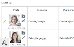 The application lets you preview the result of a mass photo import and, if necessary, make quick adjustments.